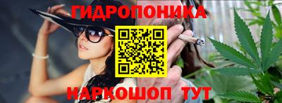 индика Конаково