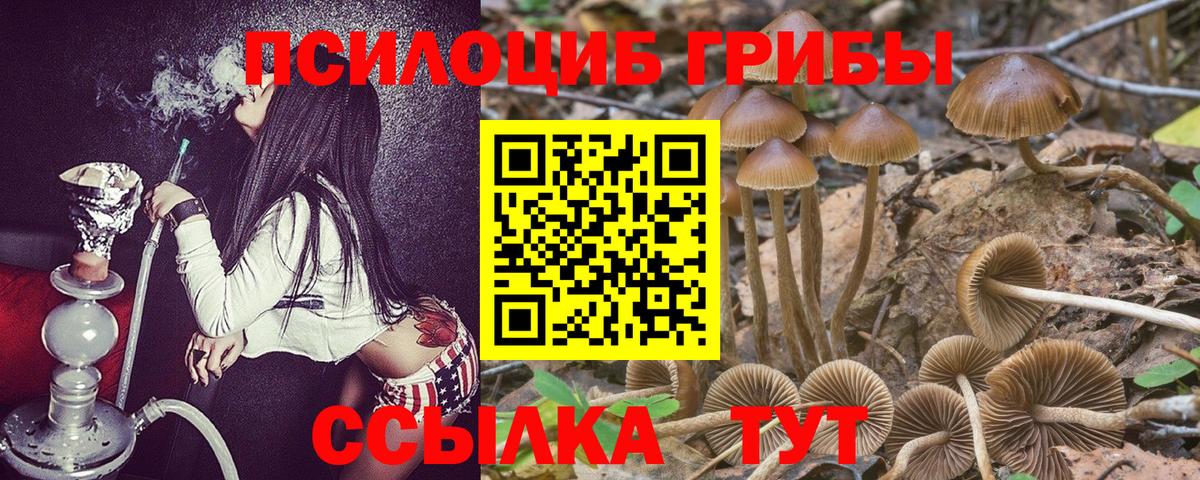 Галлюциногенные грибы Magic Shrooms Кисловодск