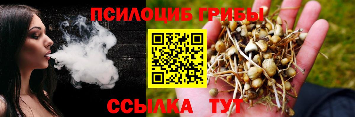 Псилоцибиновые грибы Psilocybe  Вход с VPN  Кисловодск 