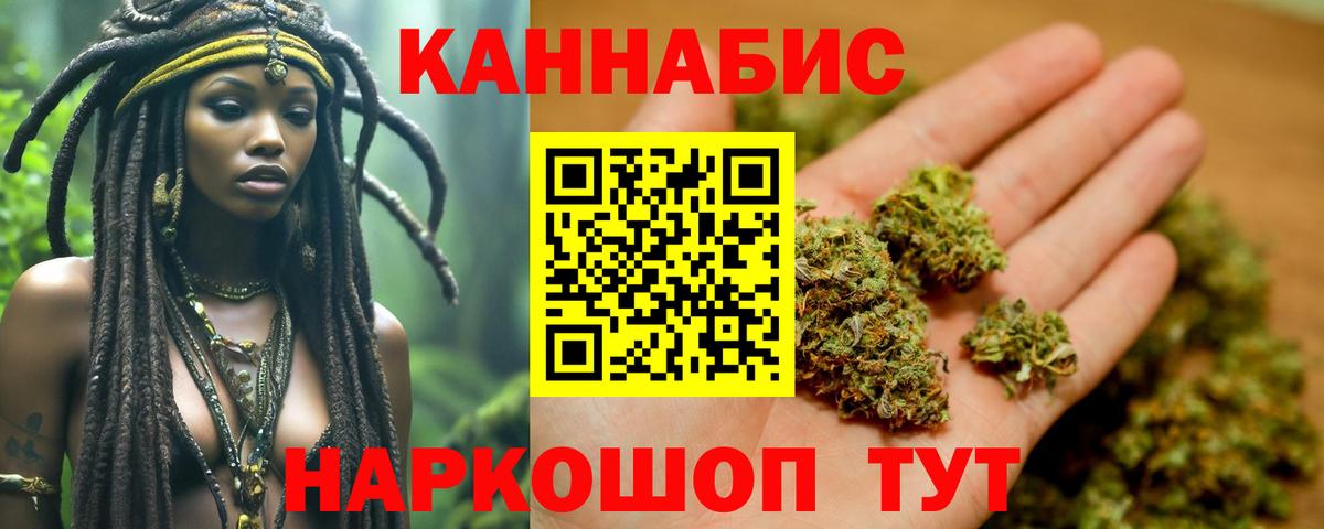 Бошки марихуана конопля Кисловодск